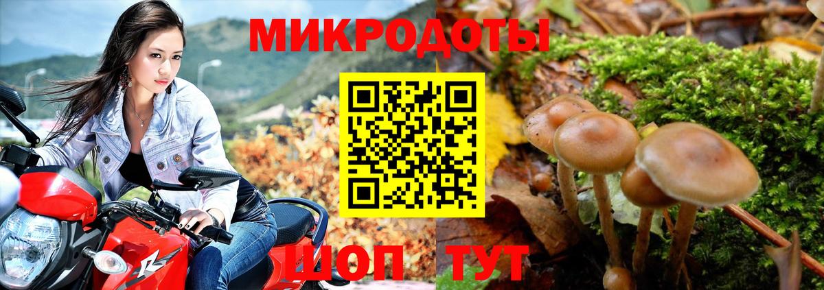 Псилоцибиновые грибы мицелий Красноперекопск